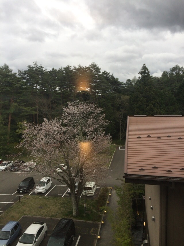 IMG_9247.JPG